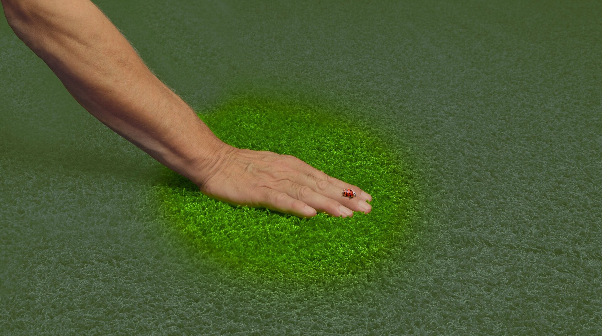 Hand auf grünem Teppich
