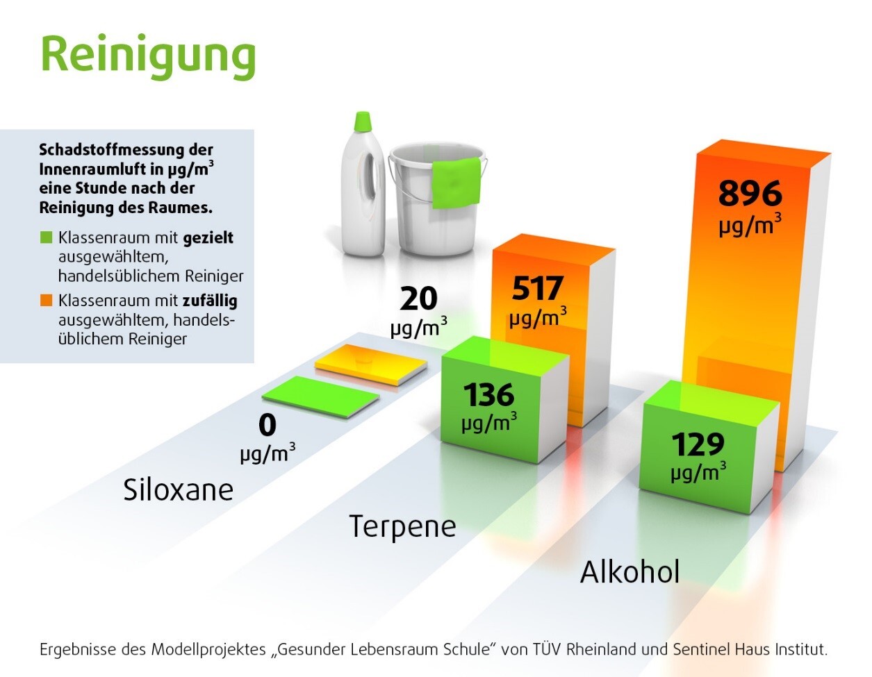 Reinigung für gesundes Wohnen & Leben | Sentinel Portal